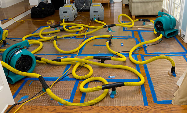 Professional Sewage Cleanup technician working in Mentone, CA